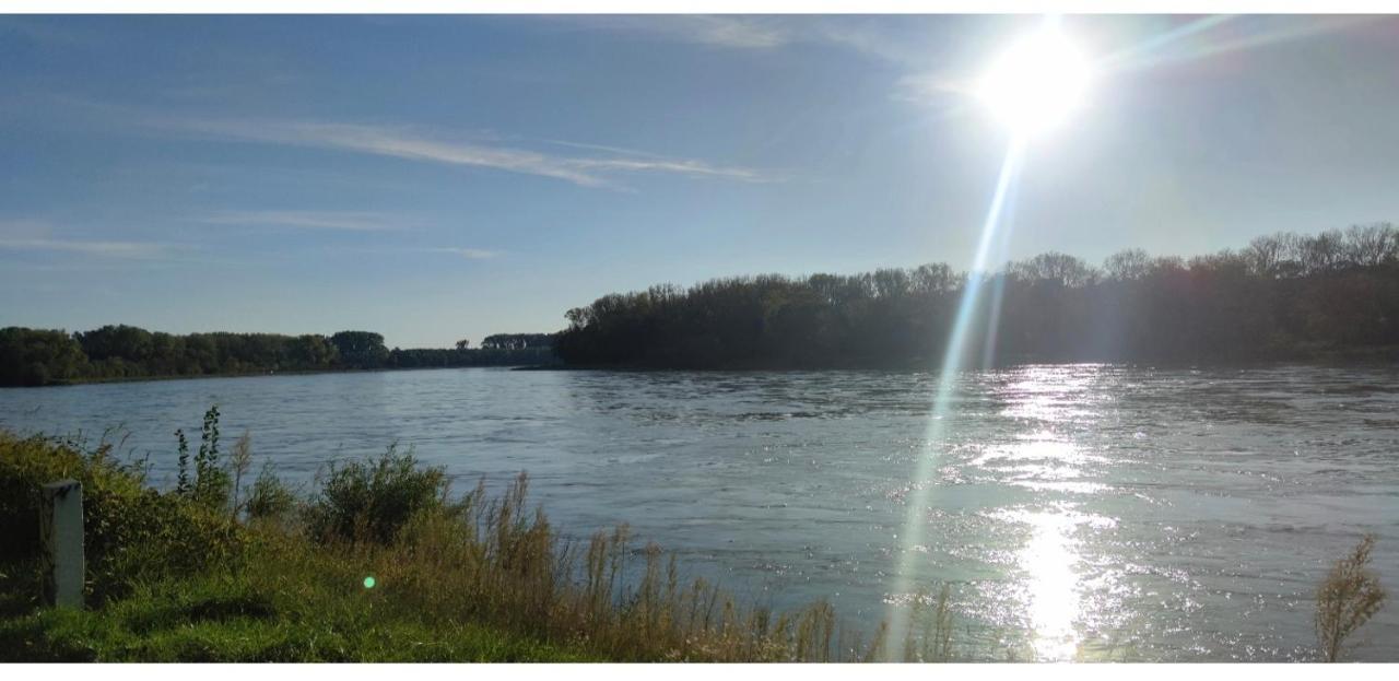 Urlaub Am Rhein Speyer Hockenheim Διαμέρισμα Altlussheim Εξωτερικό φωτογραφία